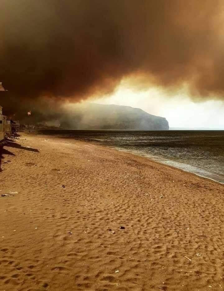 النظام يحمّل مسؤولية الحرائق ل...