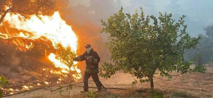 تخصيص 500 مليون ليرة لتأمين مس...