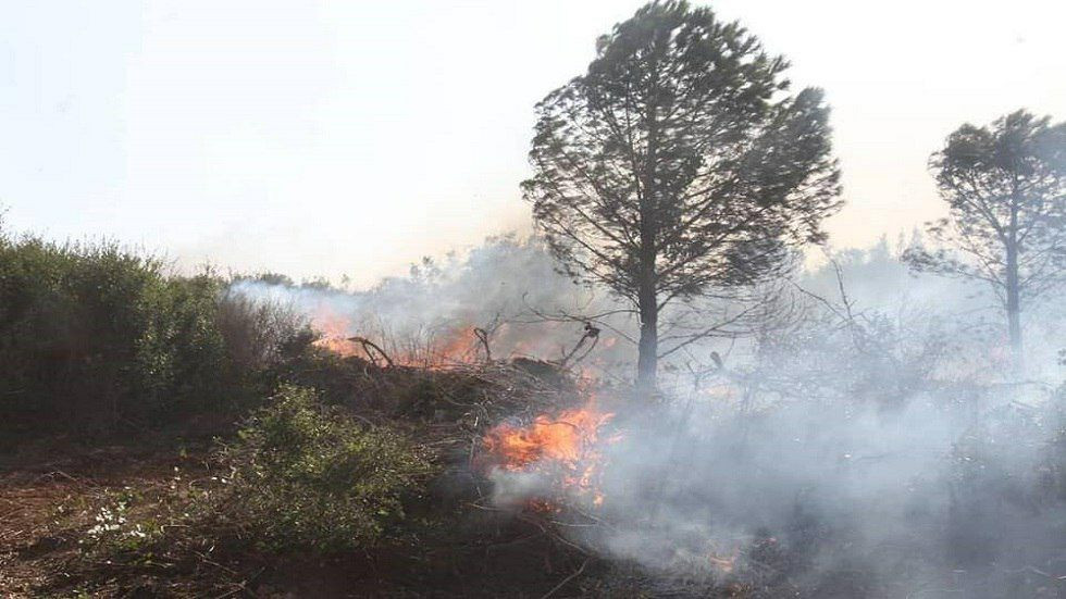 إحصاءات.. حرائق الساحل طالت 25...