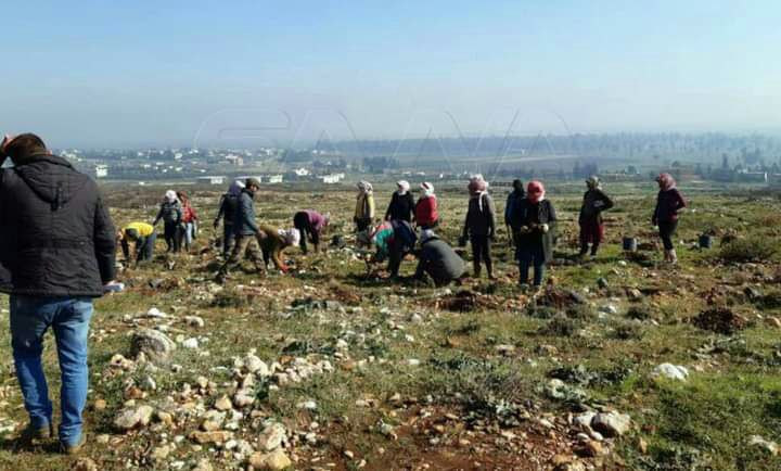 لتعويض ما التهمته الحرائق.. ال...