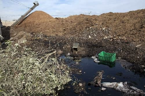 مخلفات معاصر الزيتون تُهدد ريف...