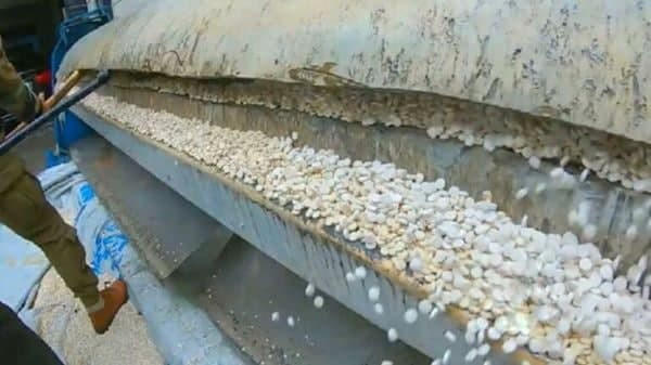 السلطات المصرية تحبط عملية تهر...