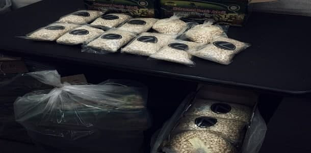 بإشراف مباشر من ميليشيات إيران...