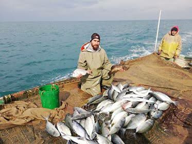 طرطوس.. وفاة رجل وتسمم عائلته...