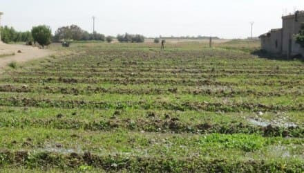 "الإدارة الذاتية" تستولي على ع...