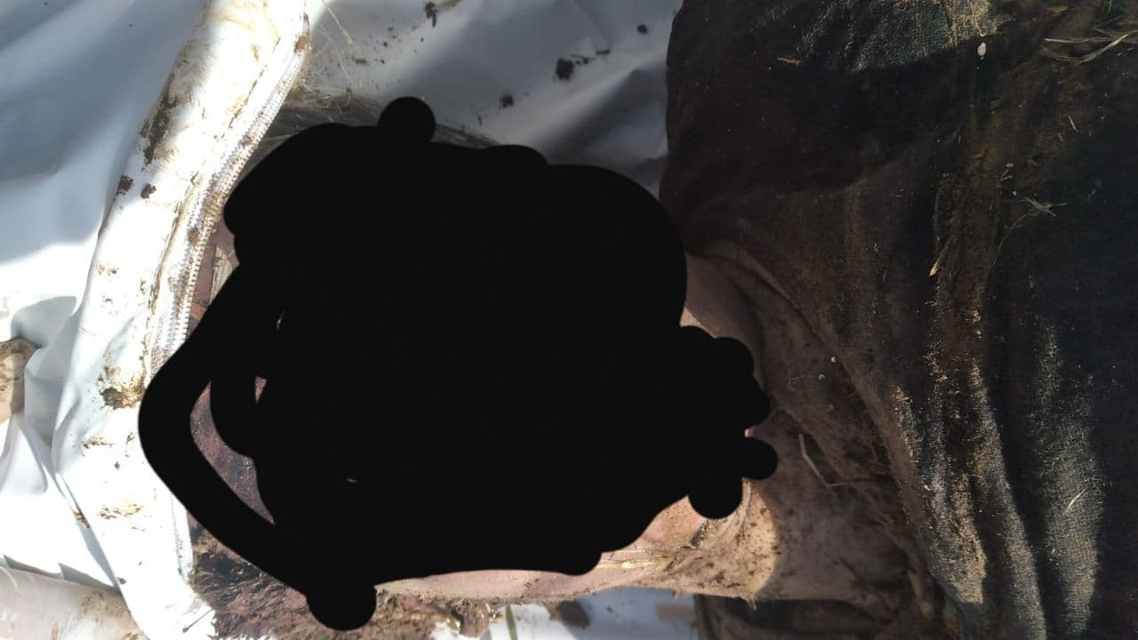 العثور على جثة سيدة مقتولة شما...