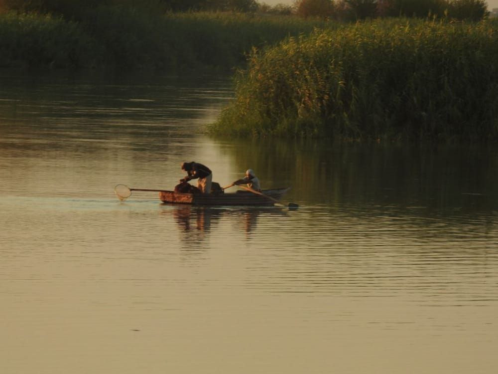 قنصا.. مقتل ثلاثة شبان على ضفا...