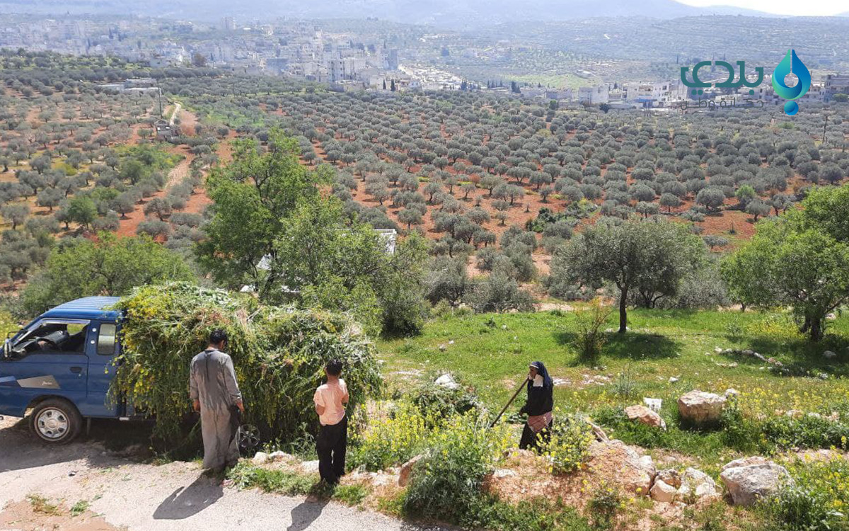 مربو المواشي في إدلب.. عشرات ا...