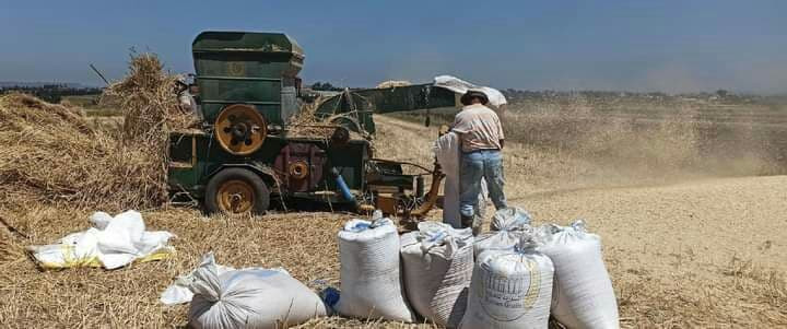 وزير "زراعة النظام" يتراجع عن...