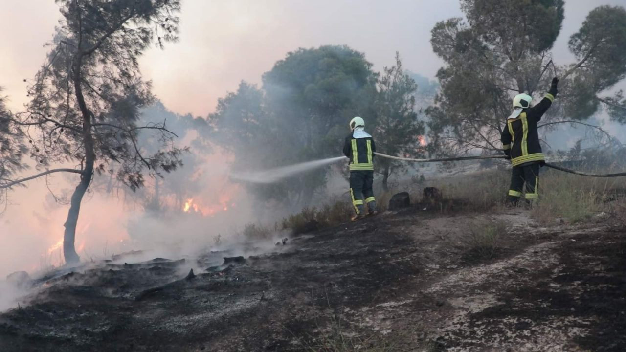 حرائق تلتهم 2000 شجرة حراجية و...