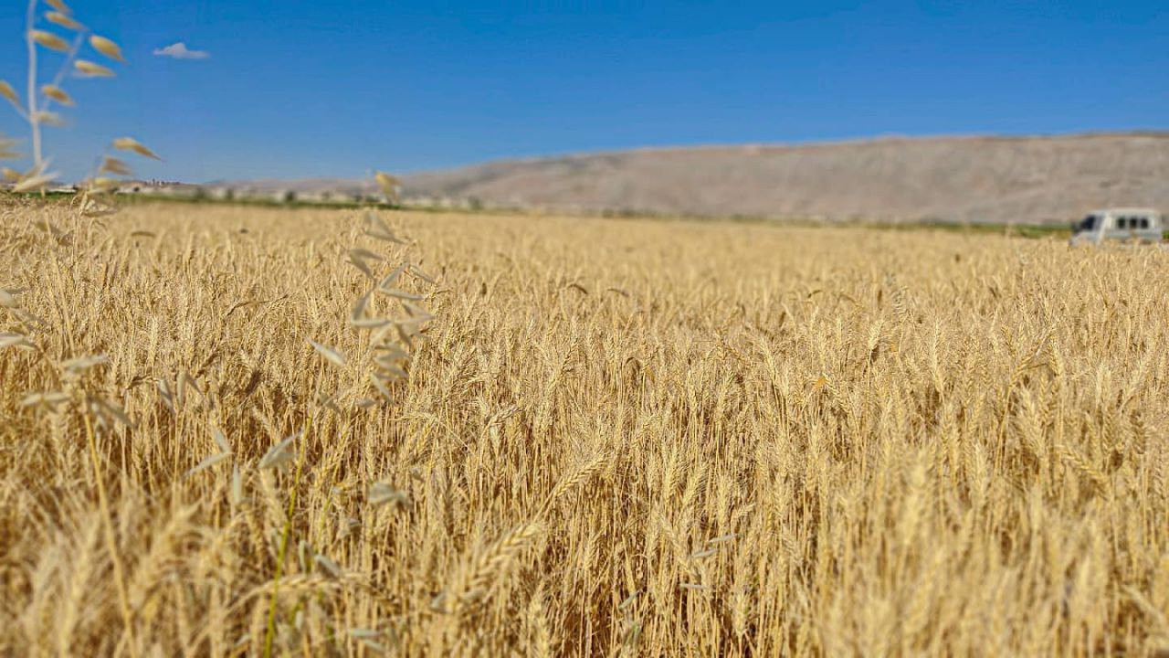 النظام يعاقب أهالي دير الزور ب...