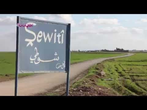 قطّعوا أحدهما.. العثور على جـث...