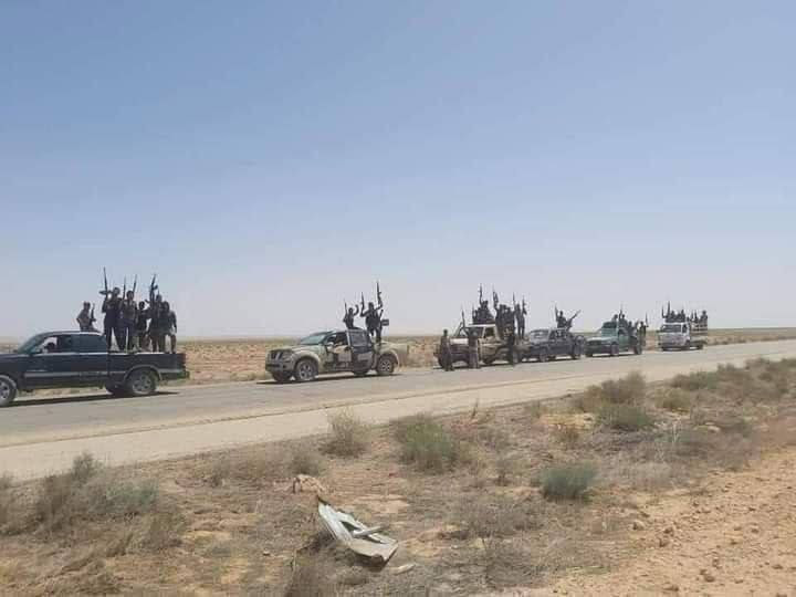 النظام يدفع بتعزيزات إلى الباد...