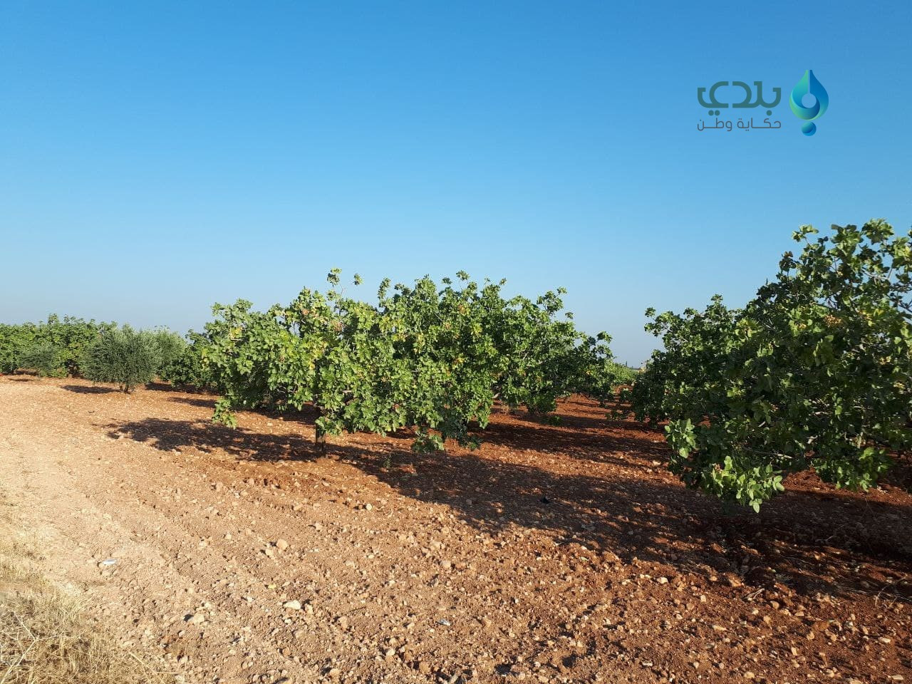 للعام الثاني على التوالي.. الن...