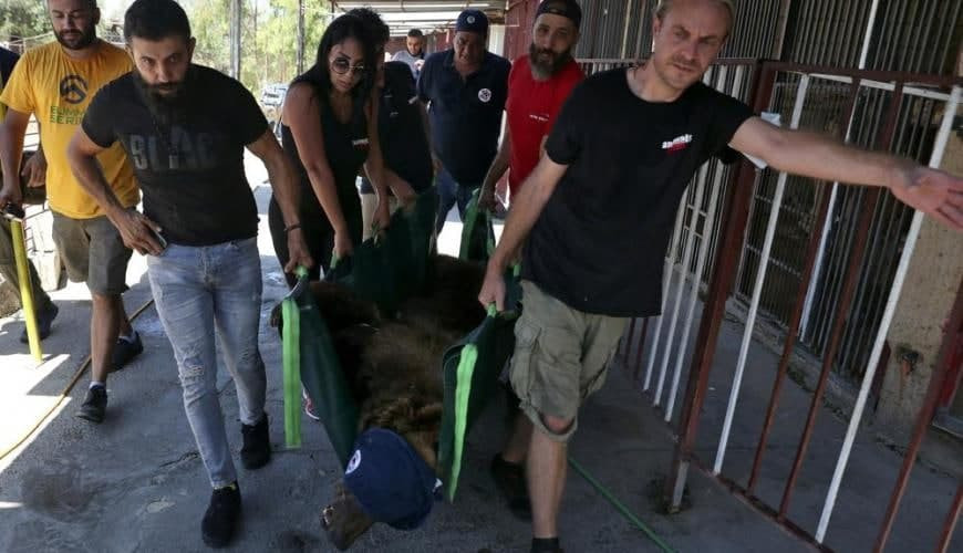 بعد عشر سنوات.. دبان سوريان يغ...