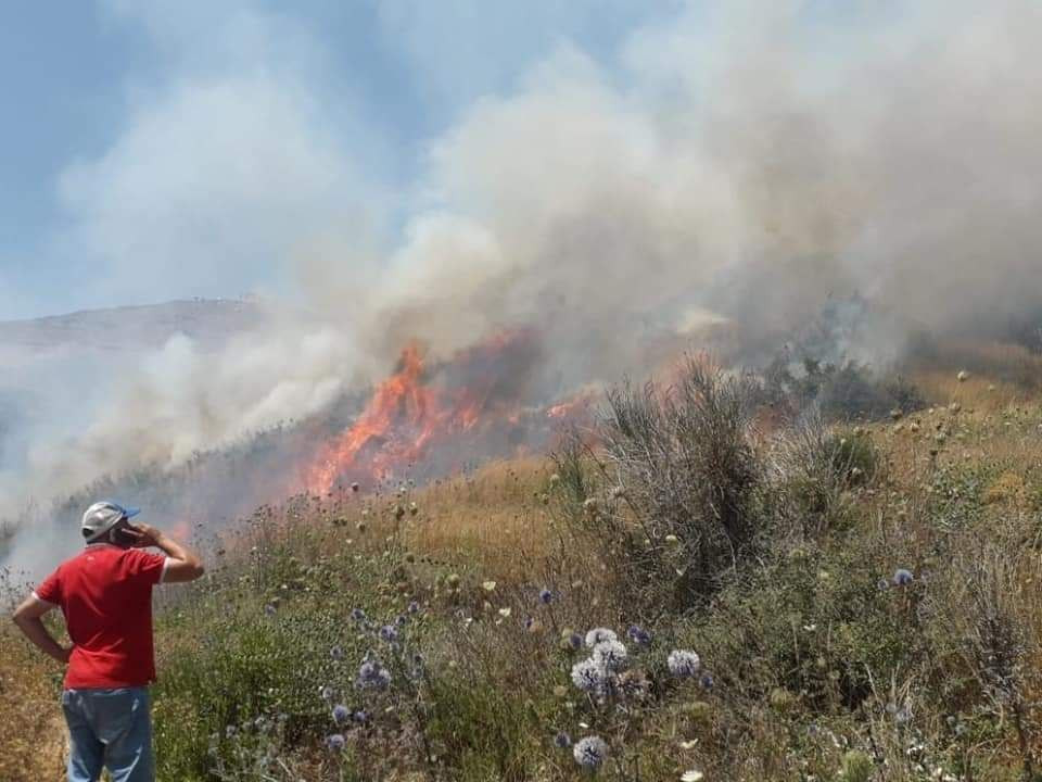 حرائق تجتاح أحراج مرمريتا بريف...