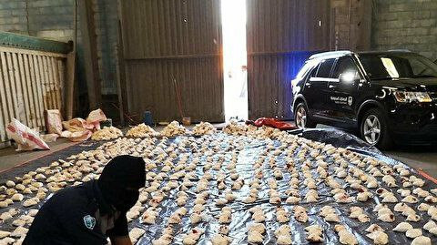 لبنان يحبط عملية تهريب أكثر من...