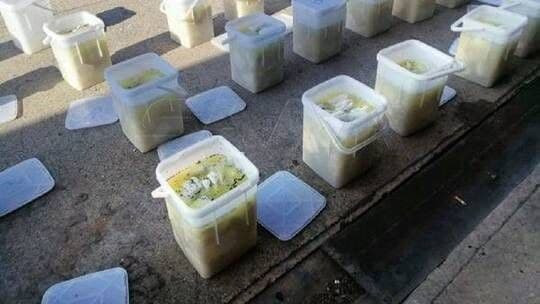 الكبتاغون يغزو حمص.. وهذا المر...