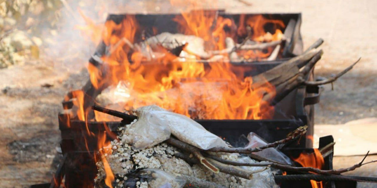 "الجيش الوطني" يحرق قرابة مليو...