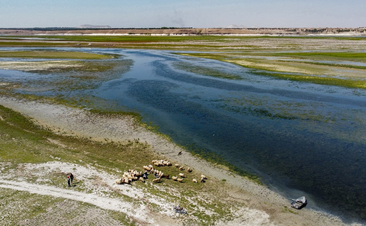 "الجفاف قادم".. تحذيرات من كار...