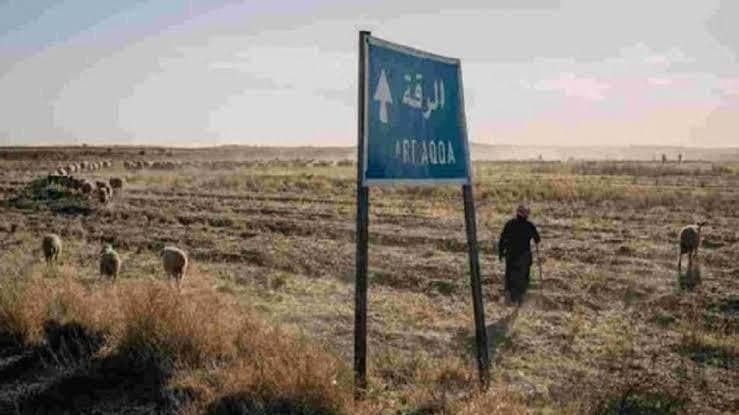 رعاة أغنام يتصدون لمجهولين هاج...