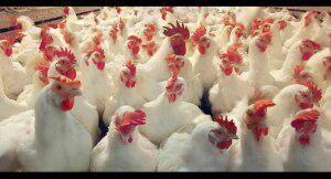 طرطوس.. غياب مخصصات المازوت لأ...