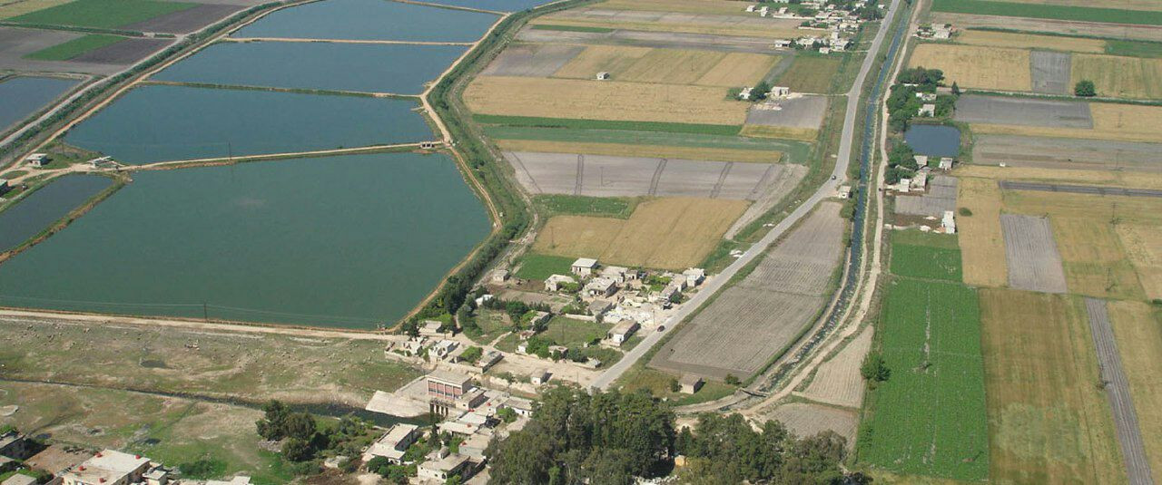 حماة.. فلاحو الغاب مستاؤون من...