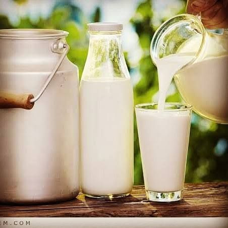 صناعي ألبان وأجبان: هناك نقص في الحليب الطبيعي 