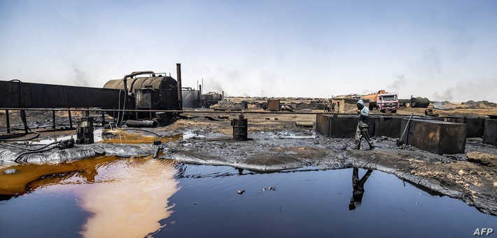 زحف "السم الأسود" يهدد حياة سك...