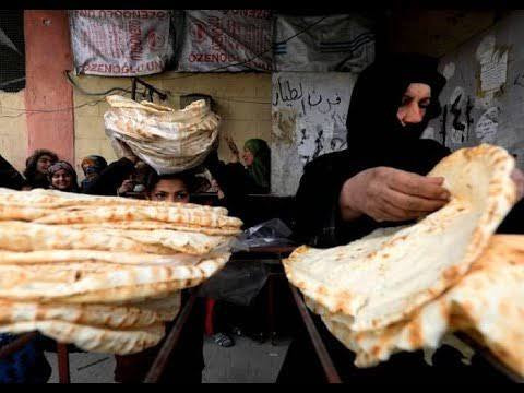 "كاردينال" يوثق مشاهداته عن أح...