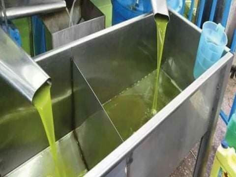 ارتفاع بسعر "زيت الزيتون" في ح...