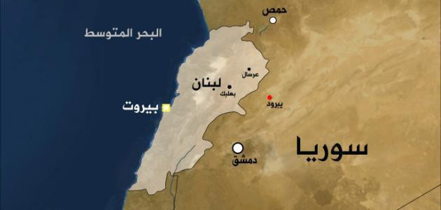 الجغرافيا حليفة الأسد ضد الثوا...