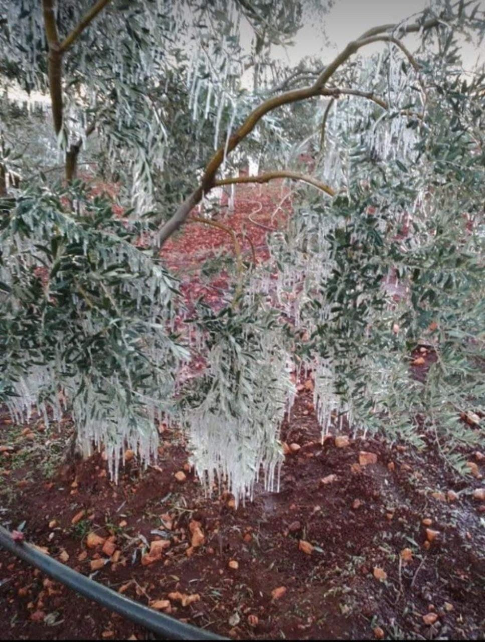 صورة وفيديوهات تكشف حجم البرد...