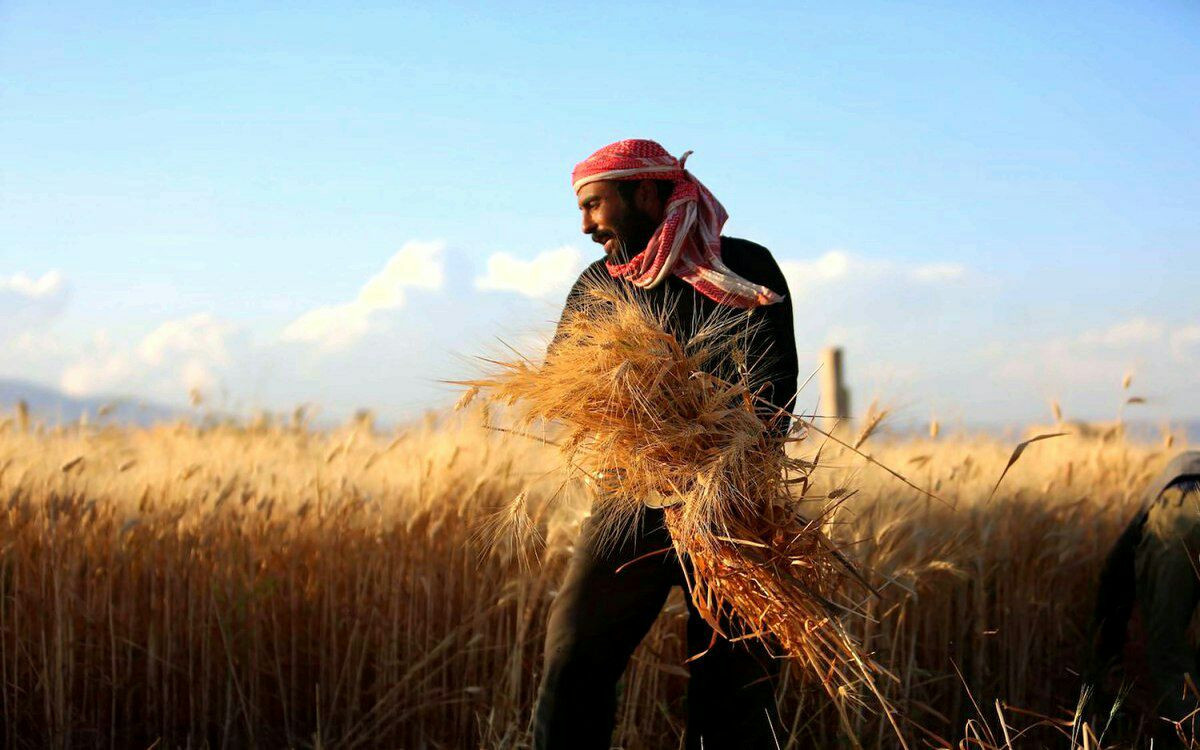 "وزير الاقتصاد" يكشف عن احتياج...