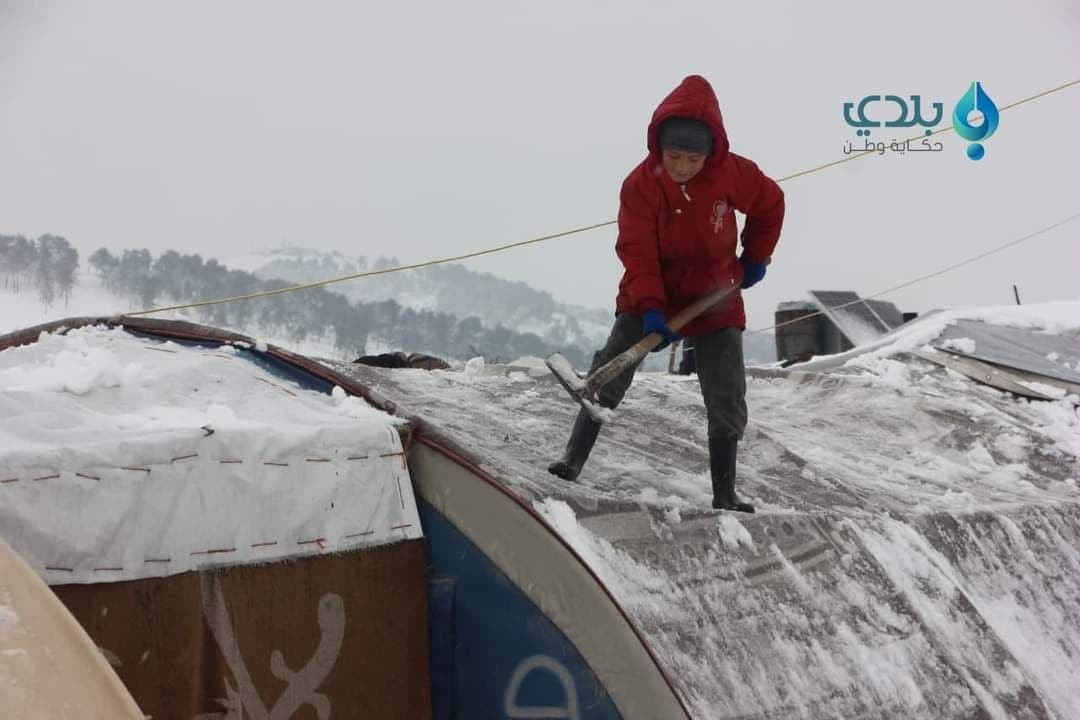 "بيت بدل خيمة".. حملة فلسطينية...
