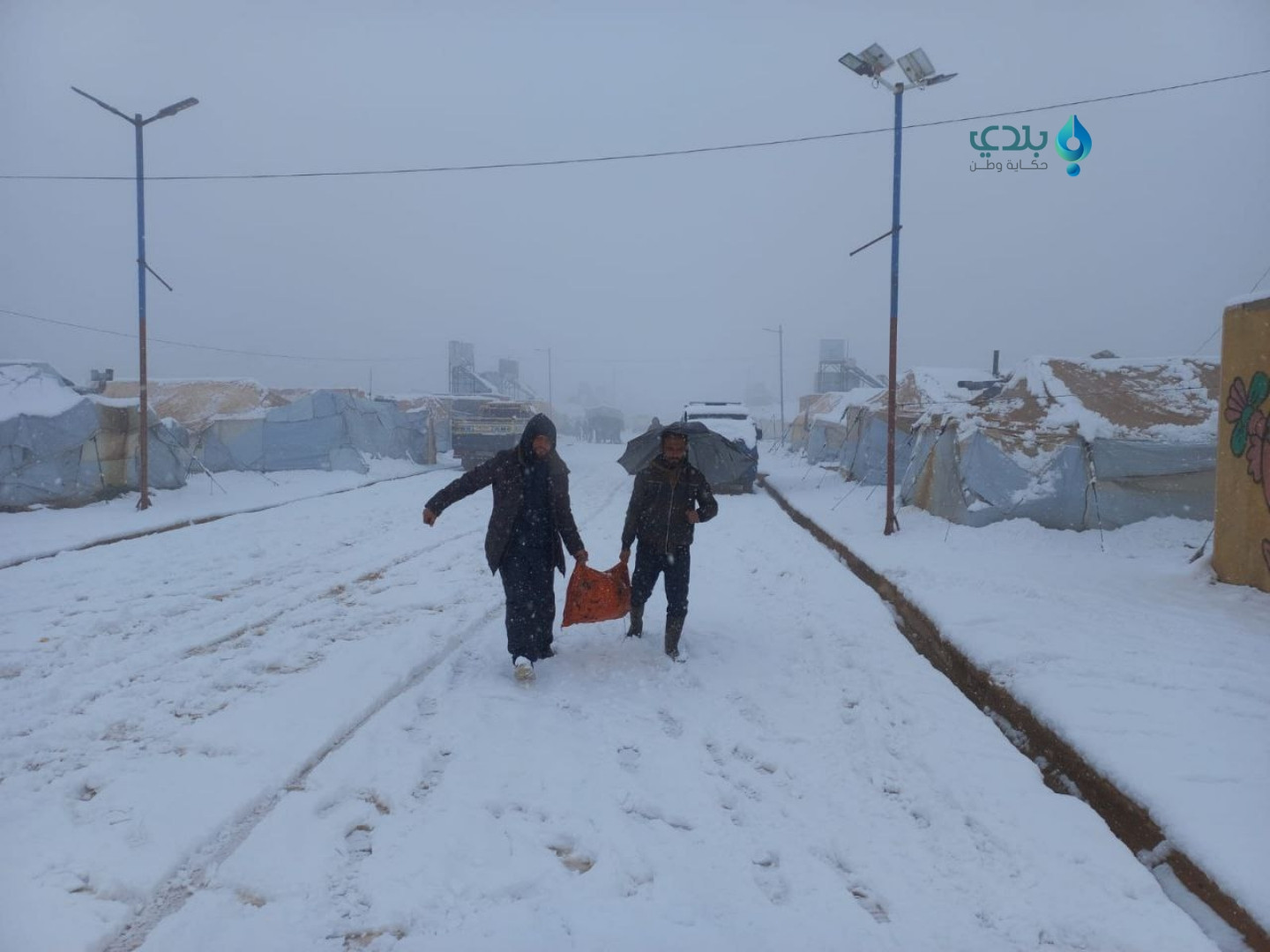 مهندس زراعي يقترح إجراءات محدد...