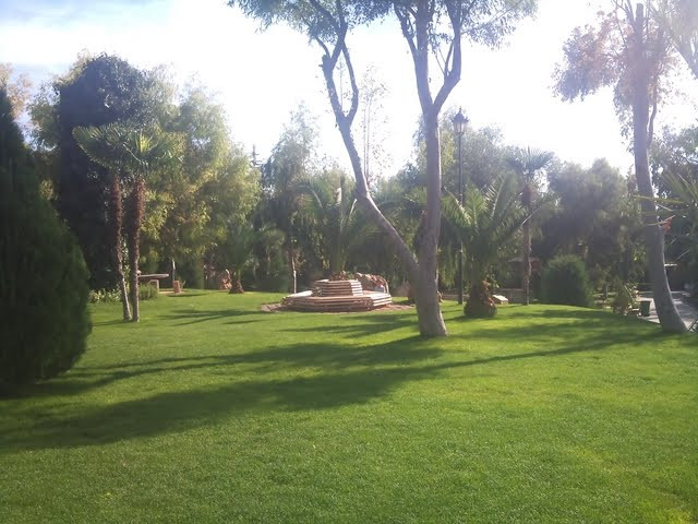 رُميت في بستان فماتت.. العثور...