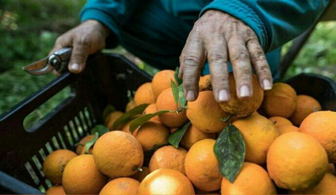 مسؤول يفضح كذبة للأسد ورئيس حك...