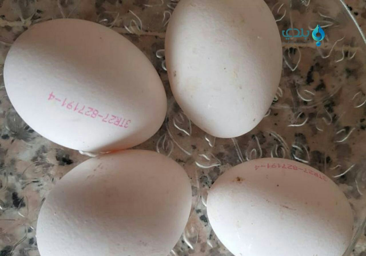 وعود بخفض سعر البيض خلال يومين...