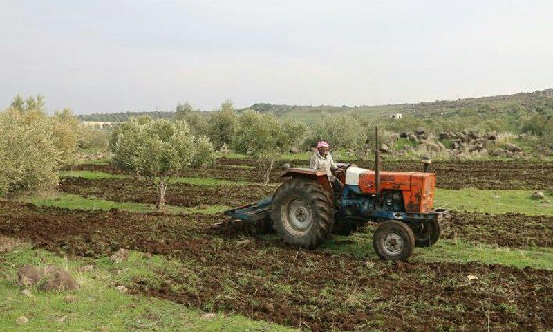 سوريا.. "الزراعة" تحرم مزارعي...