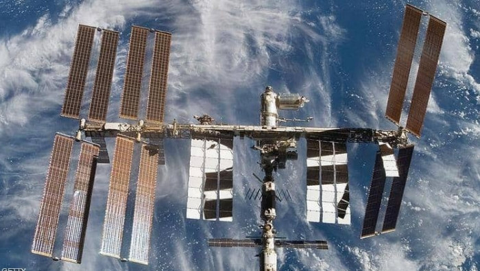 فئران وديدان ورجل آلي.. هذا ما...