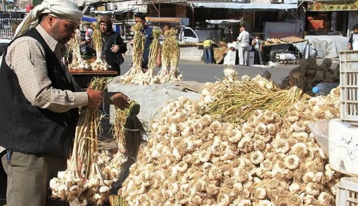 خسائر كبيرة لمزارعي الثوم في سوريا