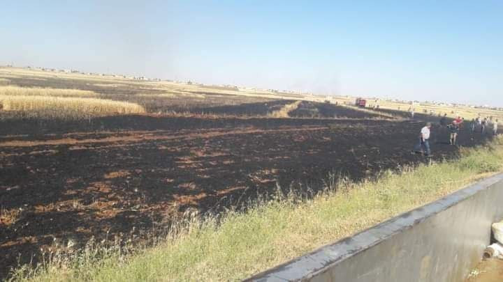 حماة.. حريق يلتهم نحو 50 دونما...