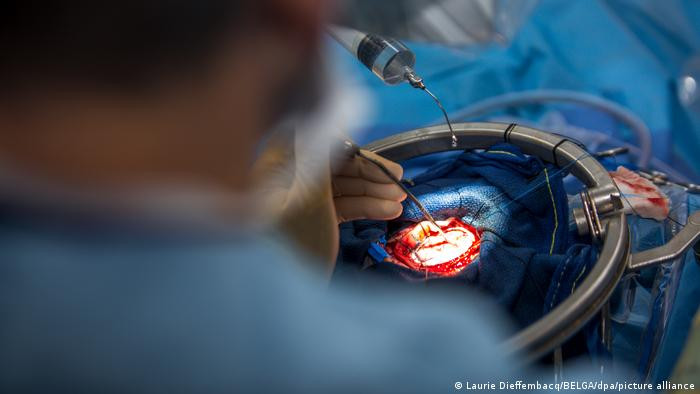 اكتشاف عقار فعال لعلاج السرطان