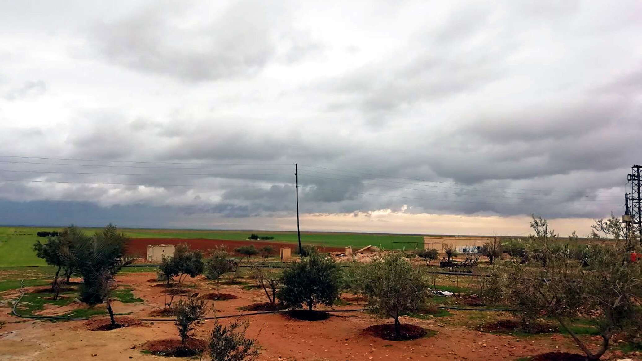 ارتفاع حصيلة شهداء درعا إلى 12...