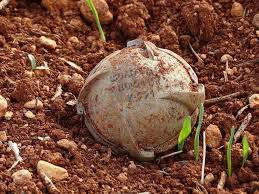 انفجار يسفر عن مقتل مدني جنوبي...