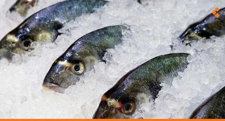 طرطوس.. الكهرباء تتسبب بخسائر...