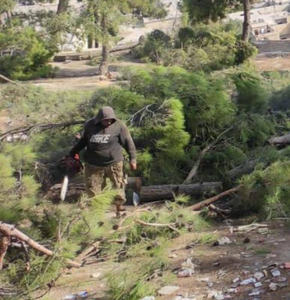 القبض على قاطعي الأشجار في جبل...