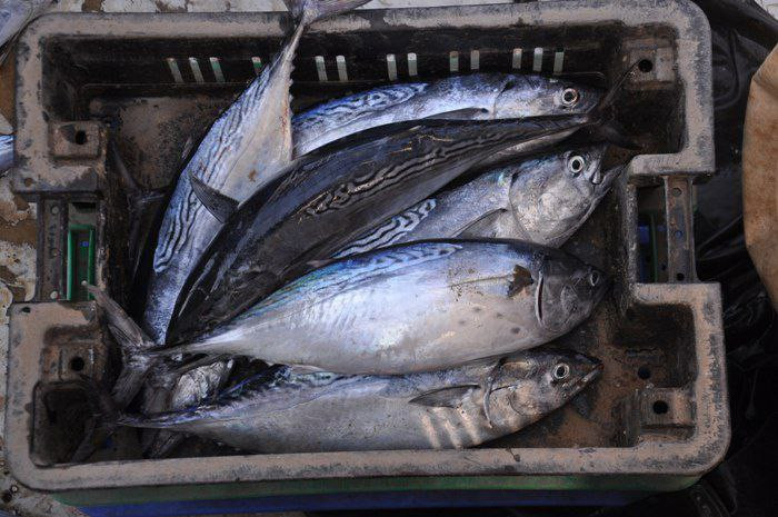 تسجيل حالة وفاة و 19 حالة تسمم...