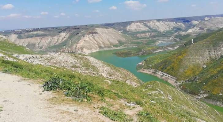 مطالبات باستئناف الحوار بين سو...